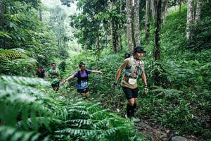 BIB: 
                            <button type="button" onclick="openModal(26359786)" class="btn btn-primary btn-sm float-right btn-popup" data-toggle="modal" data-target=".modal-high-quality">
                        <i class="fas fa-shopping-cart"></i> Add to Cart
                    </button>
                                            <button type="button" onclick="isThisMe(26359786, true)" class="btn btn-success btn-sm float-right btn-popup btn-isme hidden" data-toggle="tooltip" data-placement="bottom" title="นี่คือรูปของคุณใช่ไหม คลิกที่นี่เพื่อเอาเข้าอัลบั้ม">
                        <i class="fas fa-plus"></i> Add to album
                    </button>
                    <button type="button" onclick="isThisMe(26359786, false)" class="btn btn-warning btn-sm float-right btn-popup btn-isnotme hidden">
                        <i class="fas fa-ban"></i> Remove from album
                    </button>